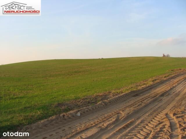 Działka w spokojnej okolicy.