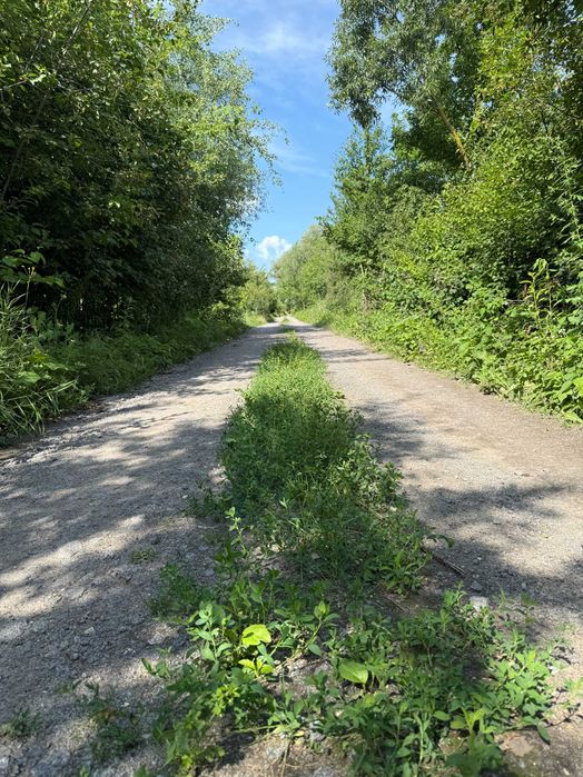 15 соток Західна окружна біля бази відпочинку “Мобі Дік” VRV ID: 34329