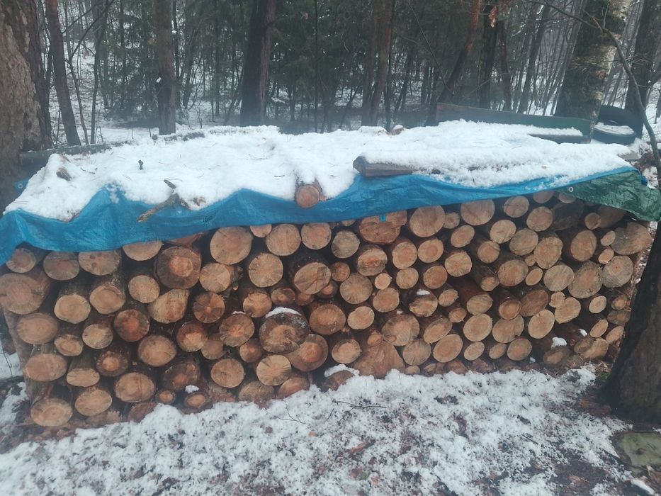 Sprzedam drewno opałowe sosnowe i akacjowa