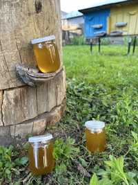 Свіжовикачаний травневий мед