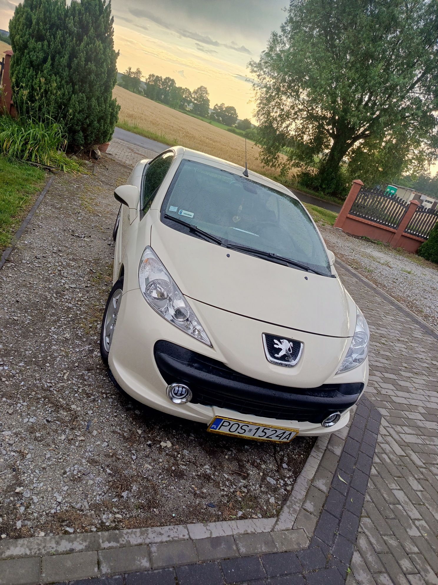 207cc 1.6hdi 190tys przebiegu
