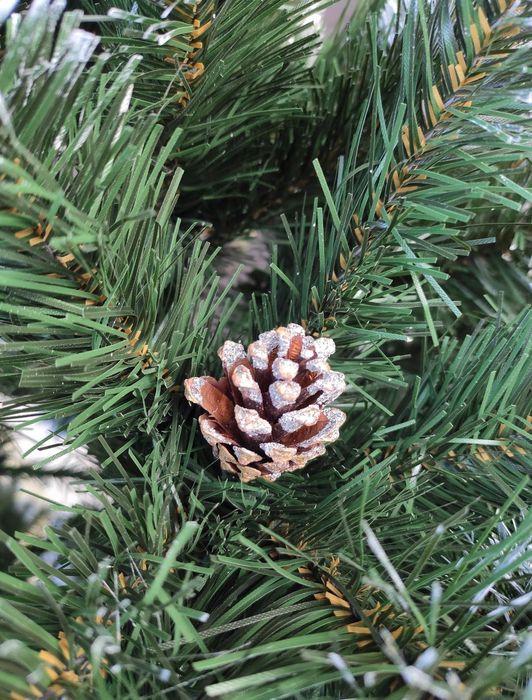 Ялинка з шишками та калиною. Розміри : від 1.5м до 2.5м