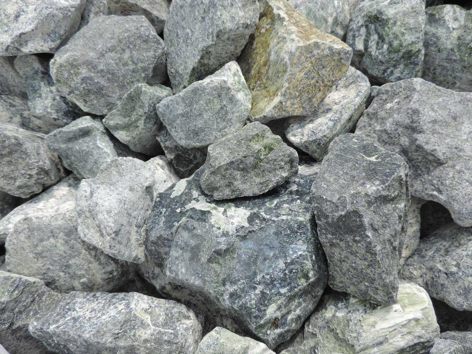 Kamień Zielony do Gabionu do ogrodu Serpentynit Głaz grys Gabion