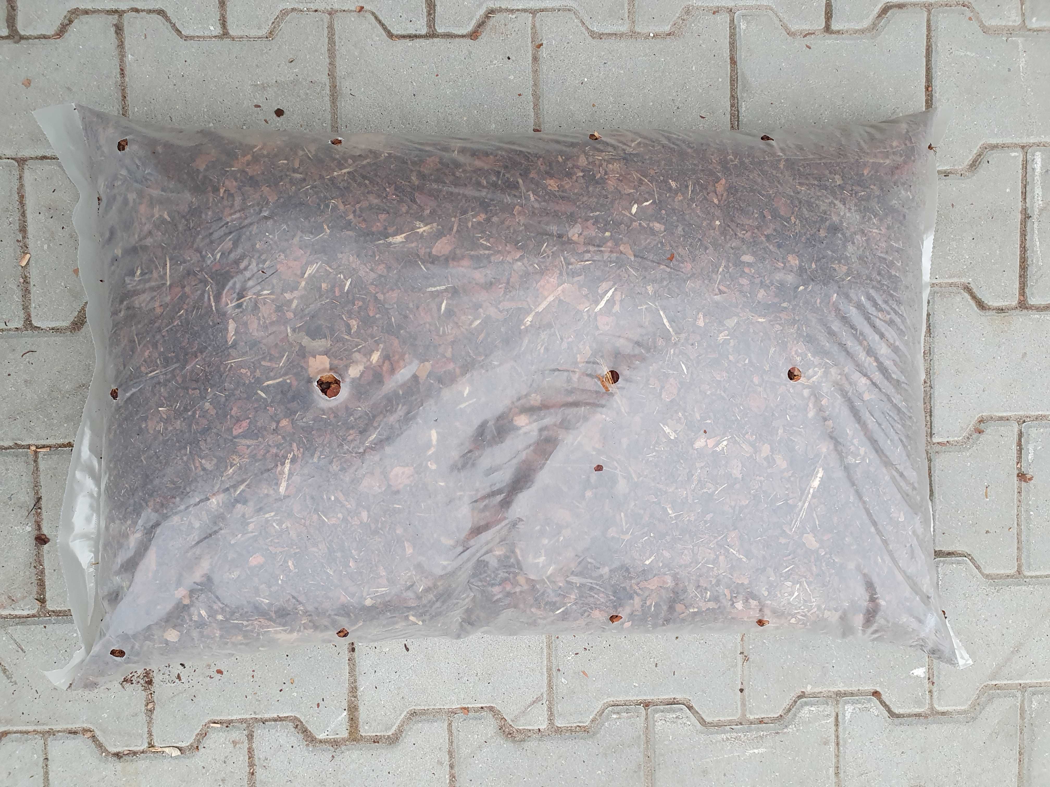 Świeża Kora sosnowa sortowana ozdobna  0-2cm jak puzle 80L PRODUCENT