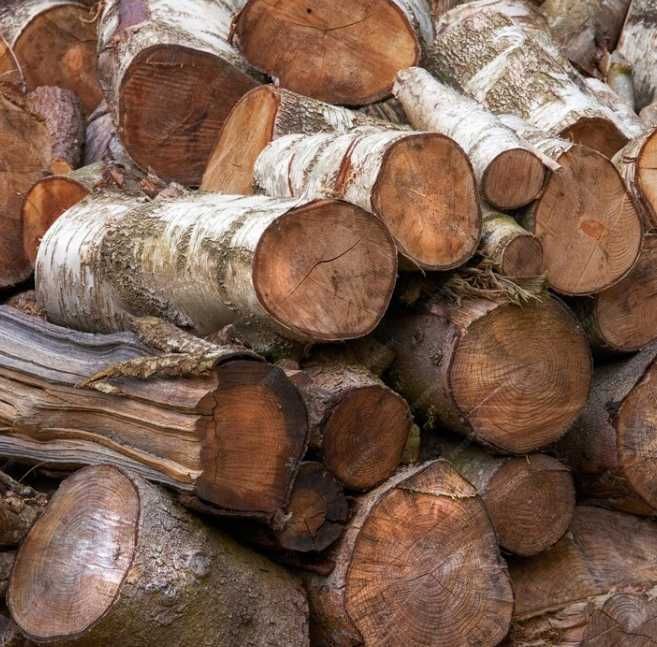 Дрова дуб, ясень, граб! Без предоплаты, доставка