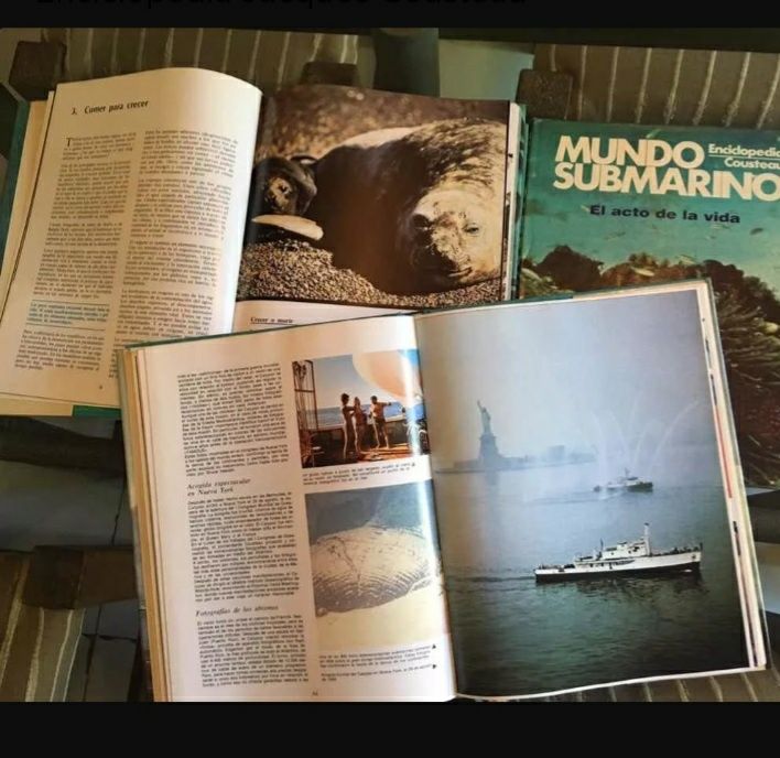 Cousteau mundo submarino