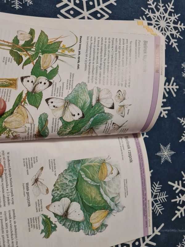 Rośliny i zwierzęta część 3