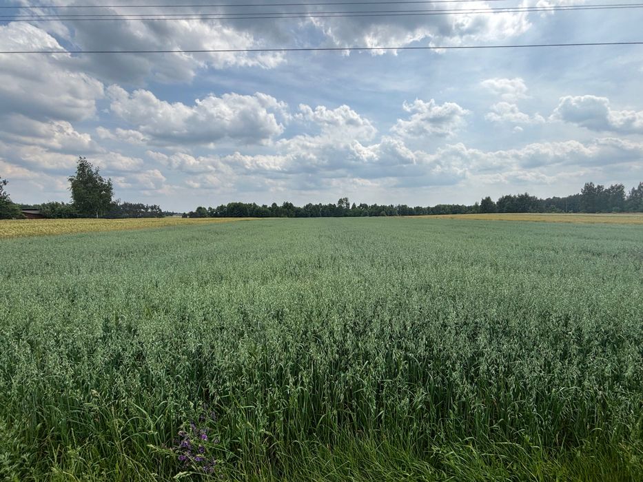 Sprzedam działkę Beleń-Kolonia