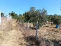 Terreno Rustico em Povoa Rio de Moinhos, Castelo Branco