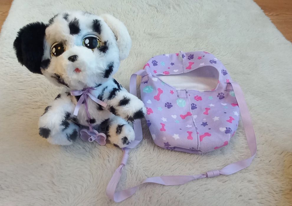 Baby paws dalmata
