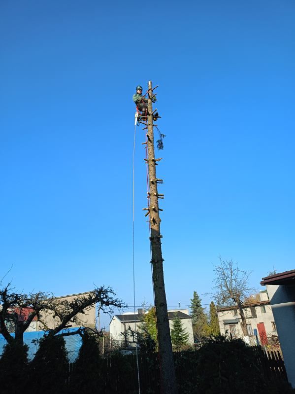 Alpinistyczna - Wycinka drzew - Przycinanie - Pielęgnacja Żywopłotów