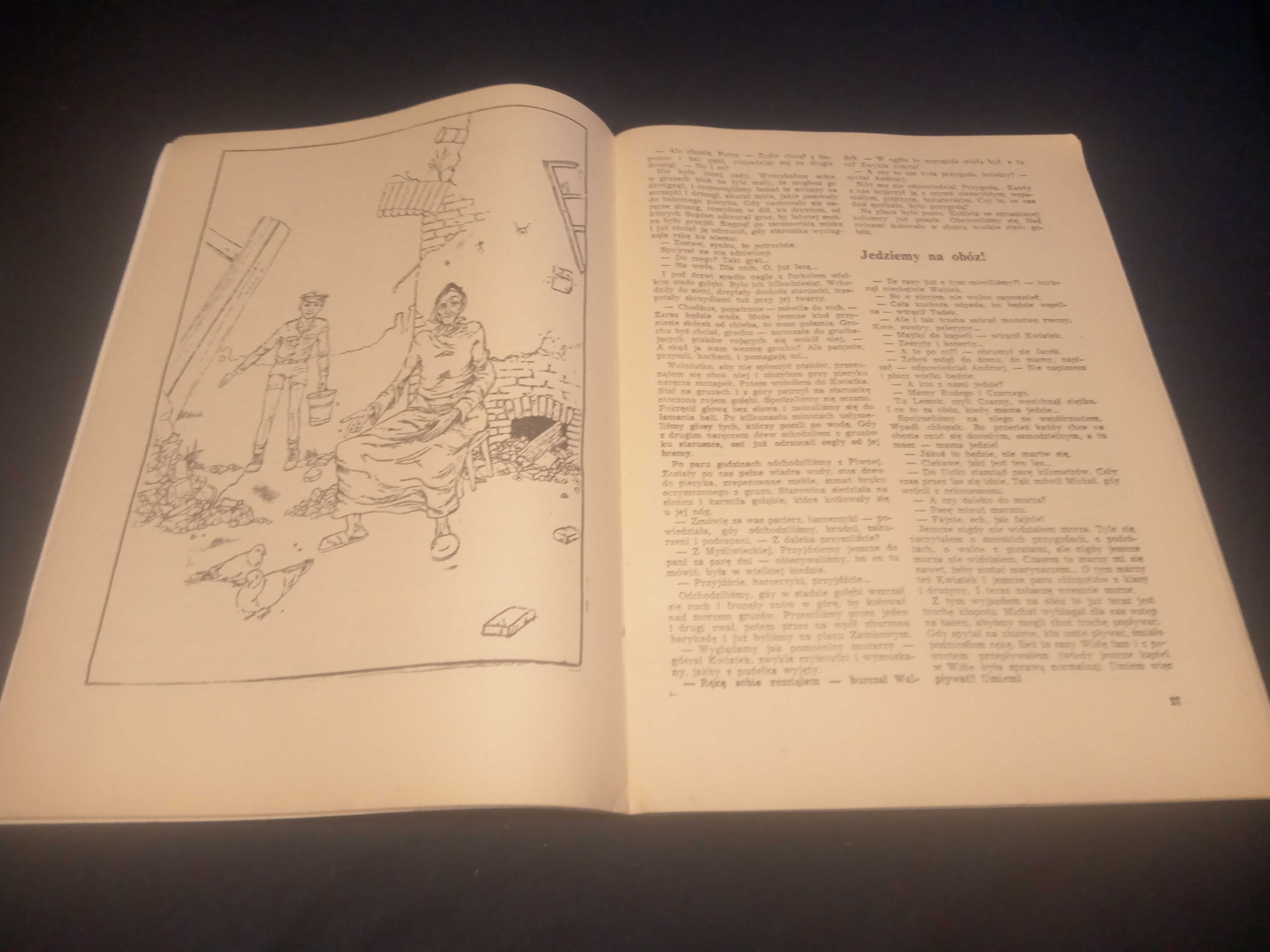 Stary komiks 6, powieść , 1983