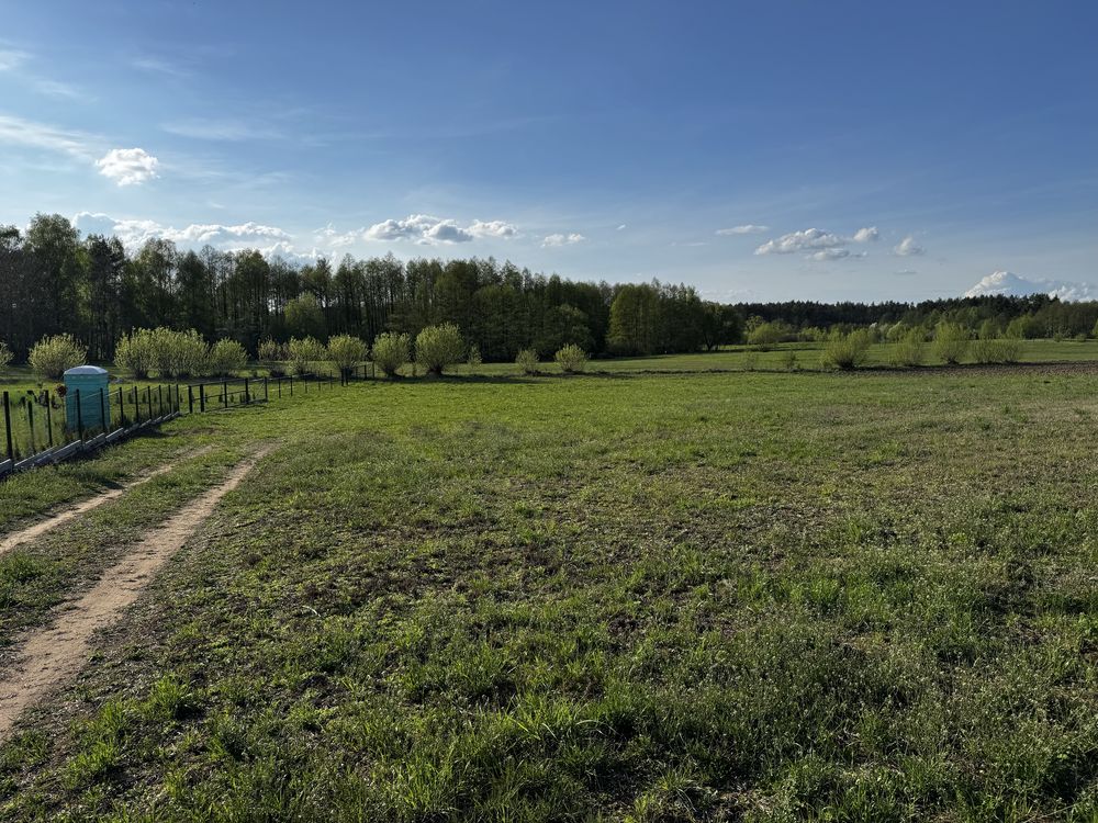 Działki budowlane (bardzo blisko jeziora)