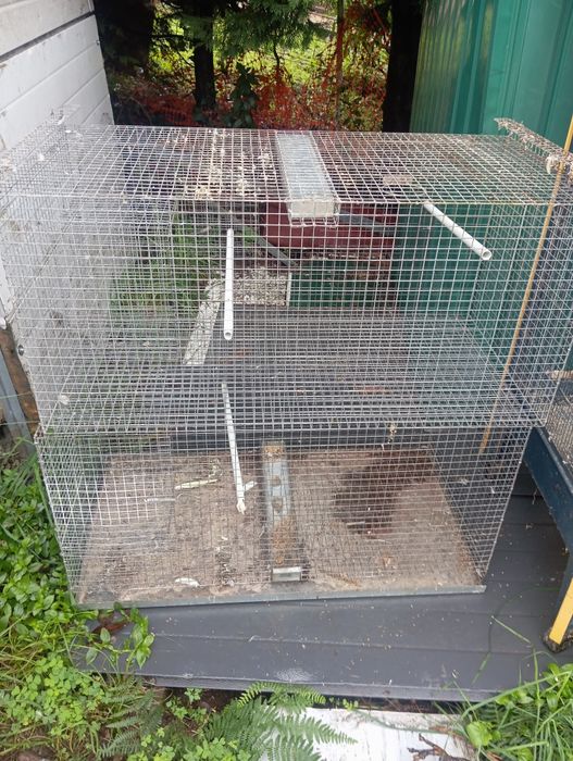 Viveiros de criação