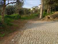Terreno urbanizável na Rua da Barroca do Bicho - Peso, Covilhã