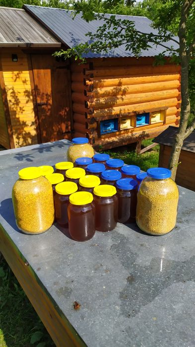 Карпатський лісовий мед зібраний на високогірю Карпат урожай 2025 рік