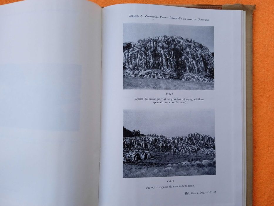 Primeiro Reconhecimento Petrográfico da Serra da Gorongosa