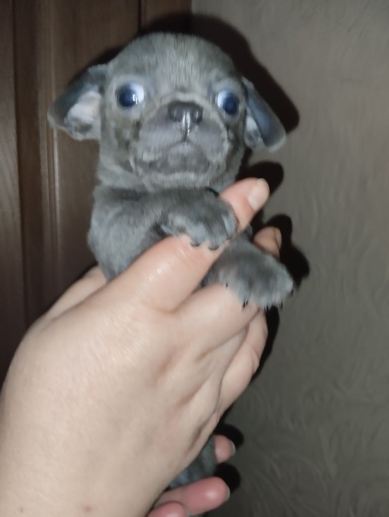 Хлопчик міні стандарт