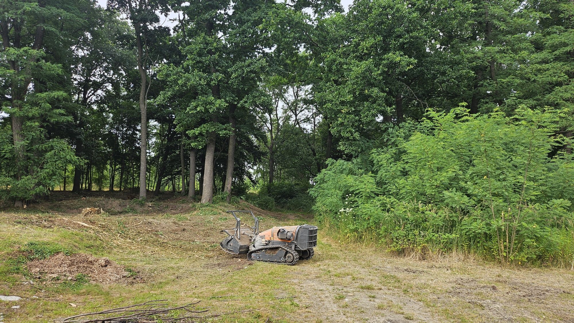 Mulczer ,wycinanie drzew,krzewów