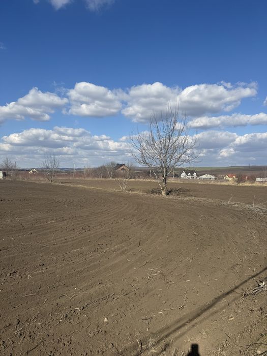 Продається земля в с. Камʼянка