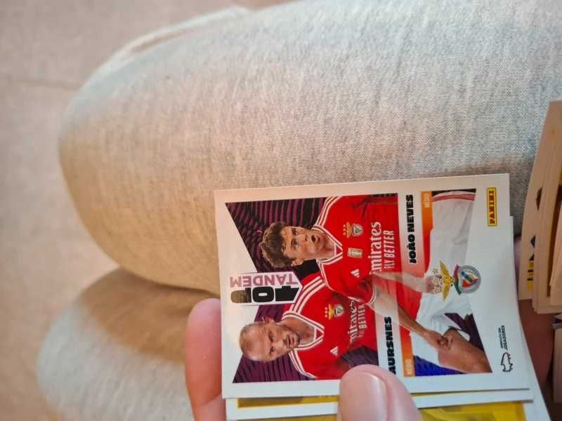 Lote 127 autocolantes Panini Futebol – com brilhantes e rookies