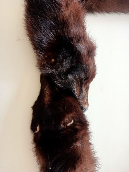 Estola com 2 cabeças de raposa