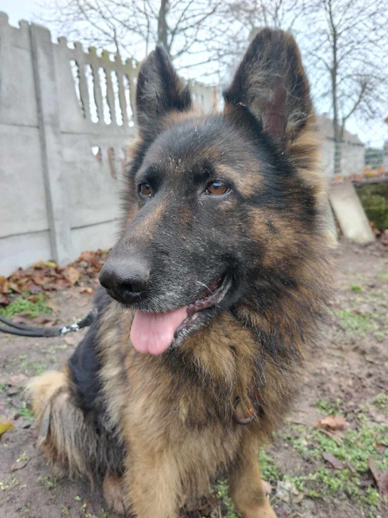 Czekam na dom - Xena