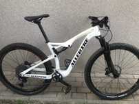 Rower allebike majestic carbon
