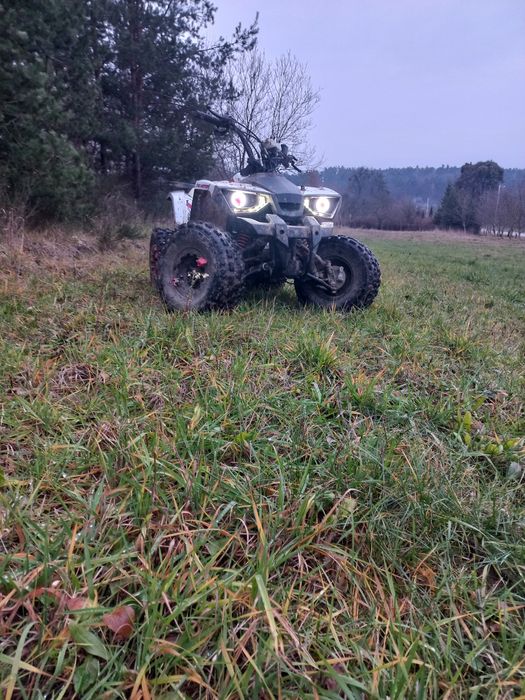 Квадрик форте 125