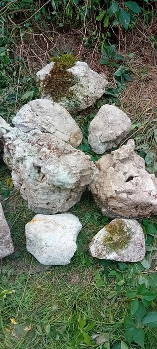 Zestaw kamieni wapiennych  tzw ostańcow