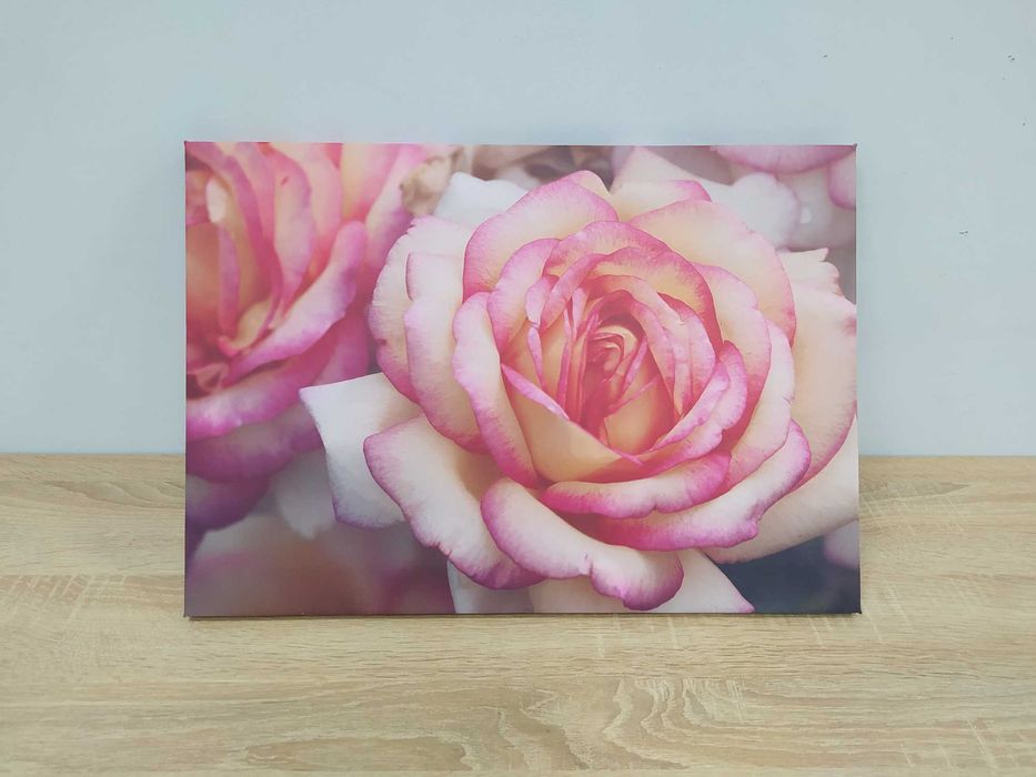 Картина (Фото) на холсте, печать портрета, Дрим Арт, Коллаж, Поп Арт