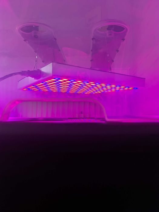 Zielnik mini szklarnia z panelem do uprawy 225 led 36w