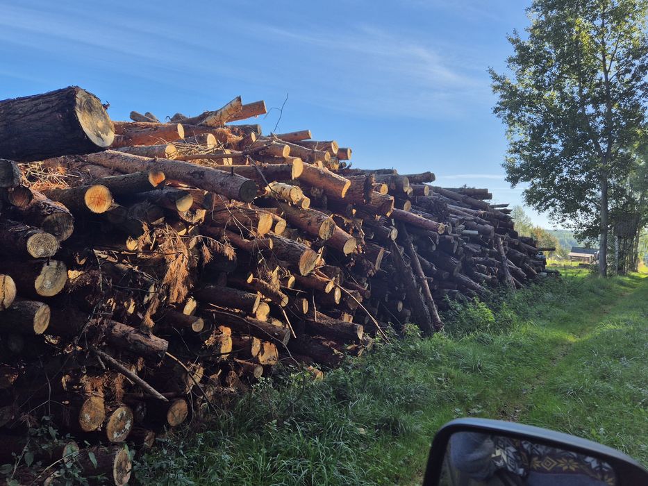 Drewno opałowe opał sosna buk dąb brzoza
