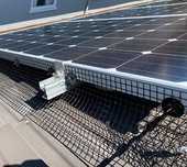 Rede Anti Pássaros em Painéis Solares