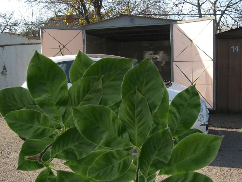 Продам гараж кооператив