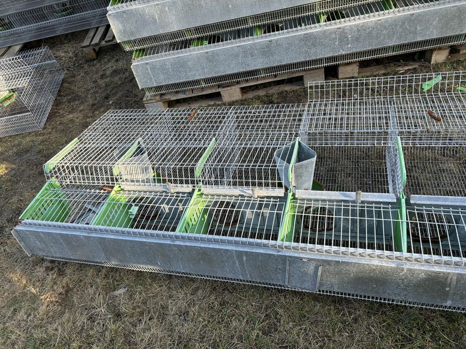 Klatki dla królików