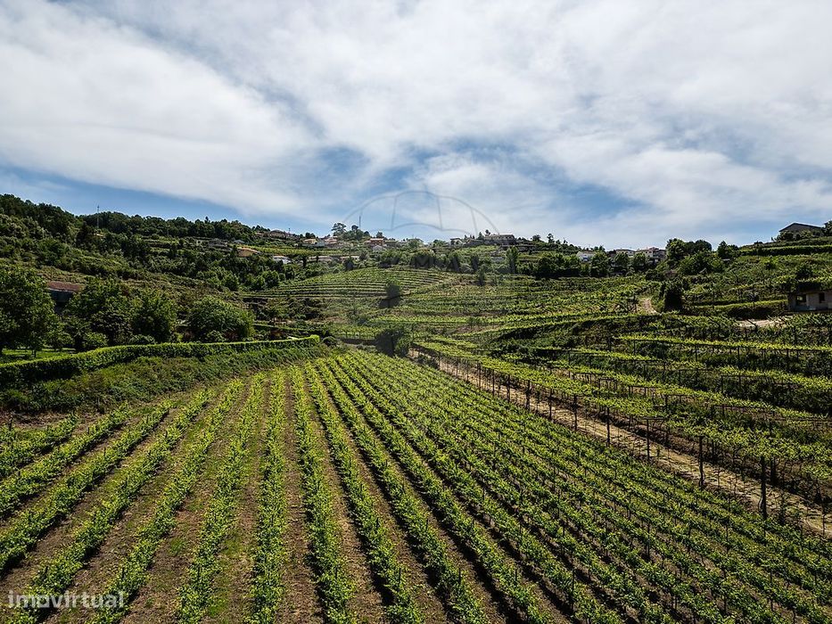 Quinta  para venda