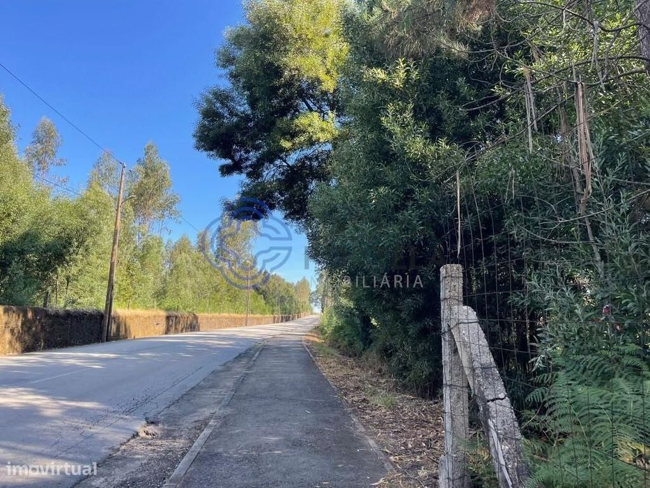 Terreno Pinhal para Venda