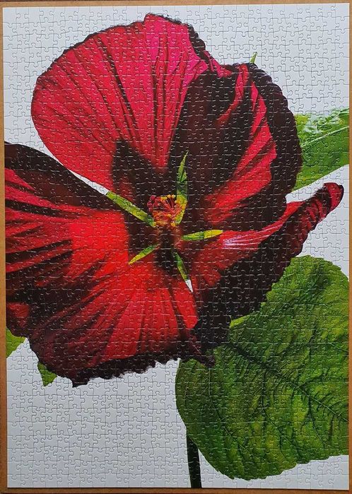 Puzzle GLOSS EFFECT Hibiskus # Ravensburger 1000 #