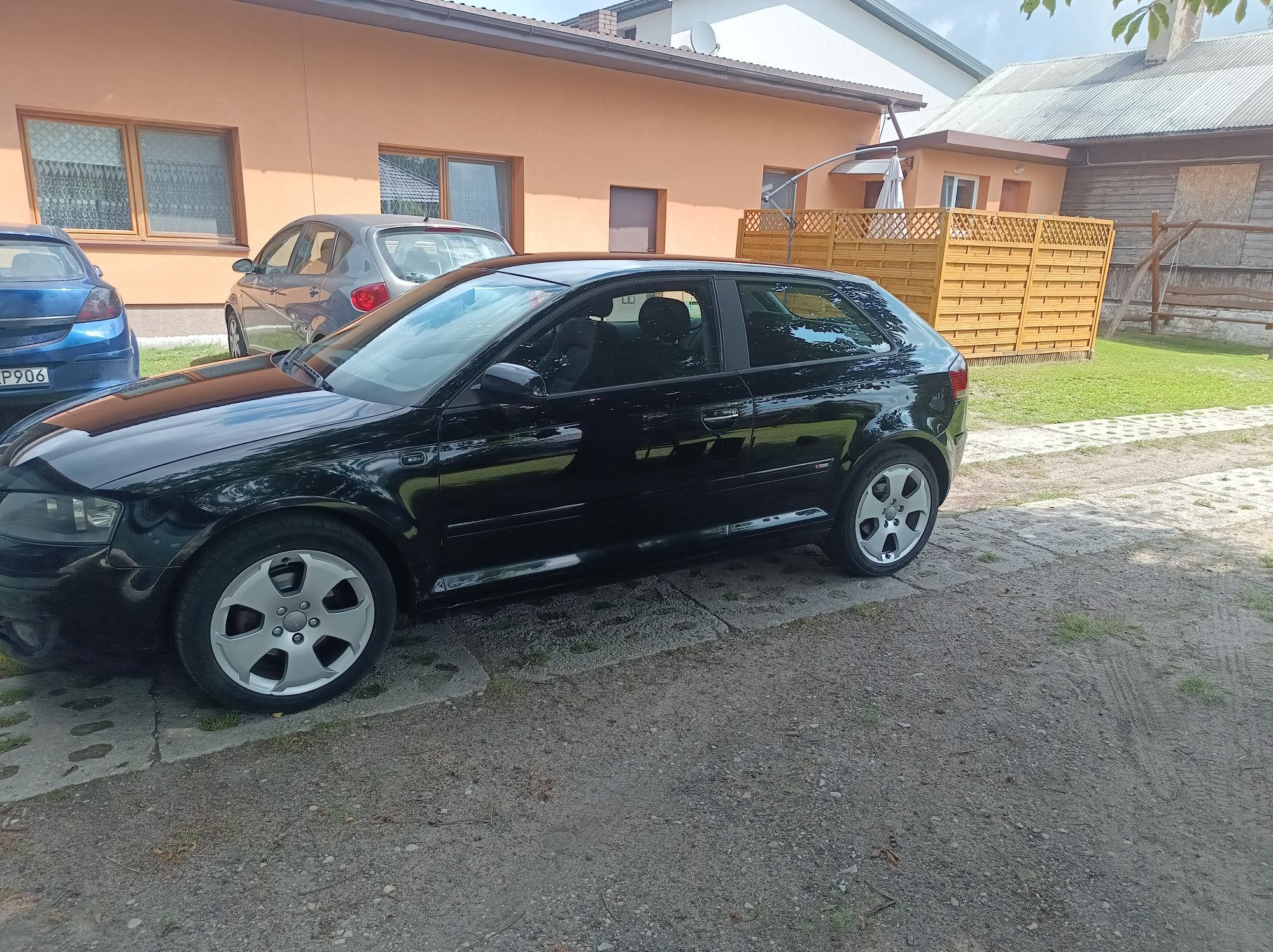 Audi A3 8p 1.9TDI