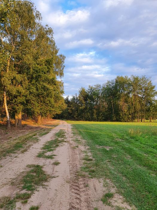 Działka z warunkami zabudowy prąd I woda Chojniki