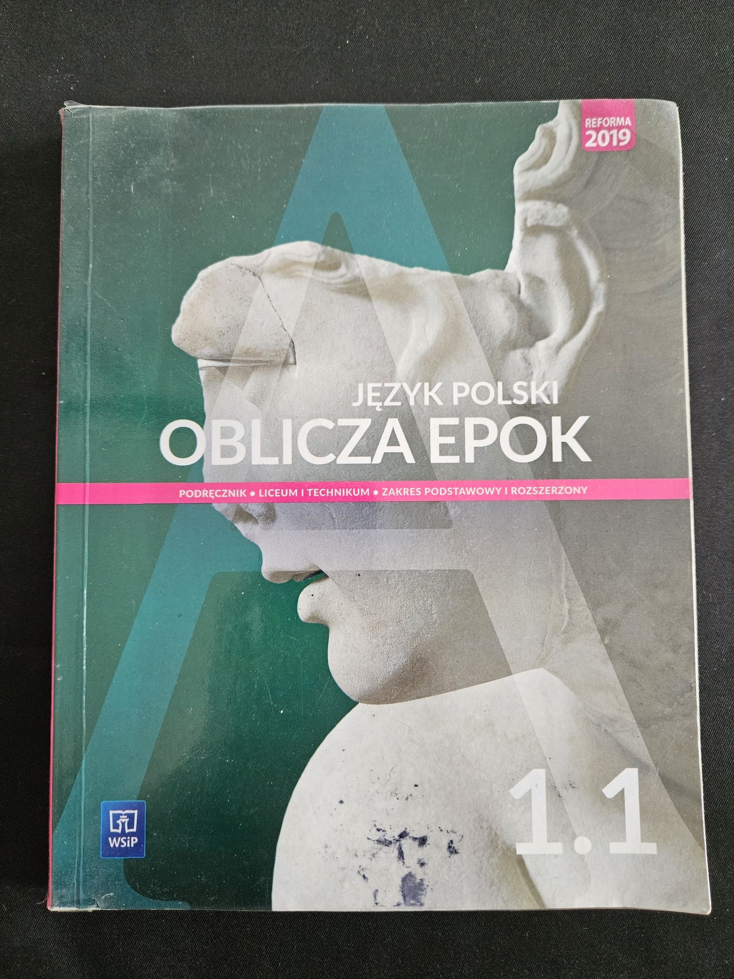 Język polski. Oblicza Epok 1.1  / WSiP /