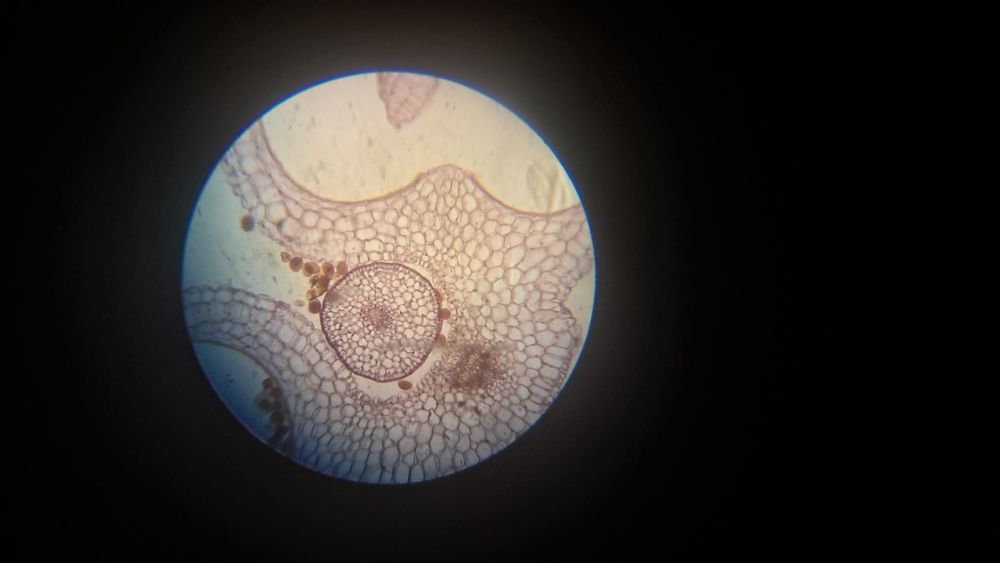 3 Микроскопа УШМ-1