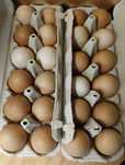Ovos de Galinha Caseiros