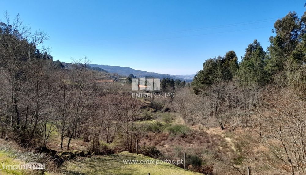 Venda Terreno, São Simão, Amarante