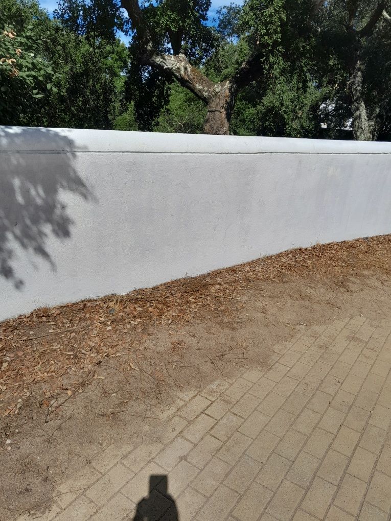 Trabalhos pinturas