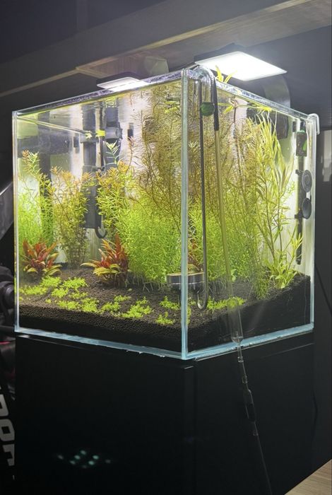 Akwarium Kostka Mitoja Optiwhite 43l. 35x35x35+Szafka Aquael ZESTAW