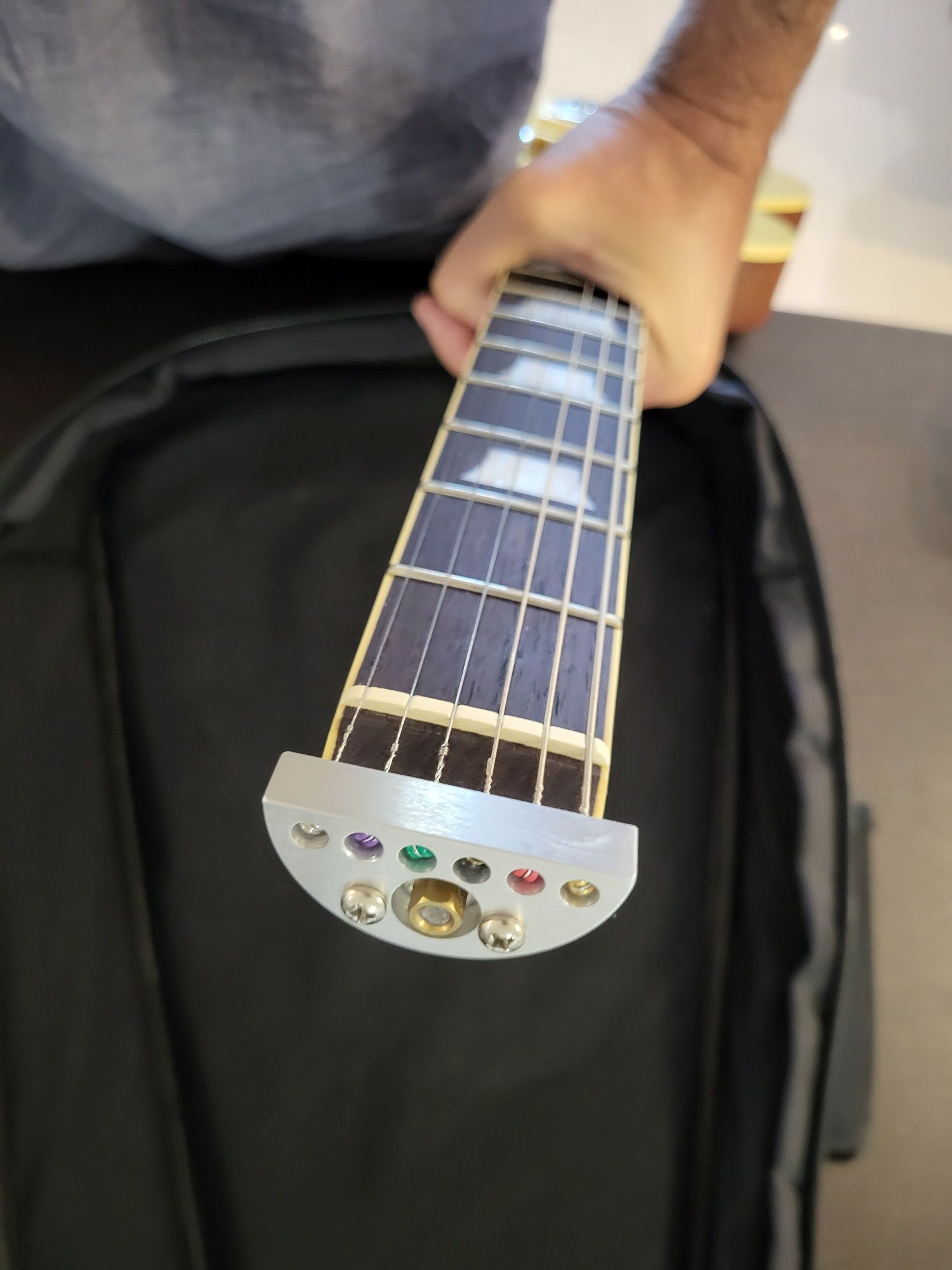Traveler Guitar EG-1 Custom