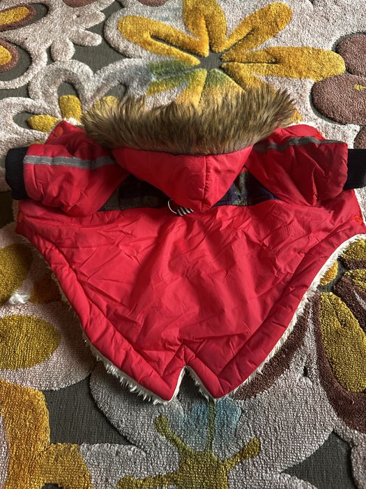 Одяг для собак, кота