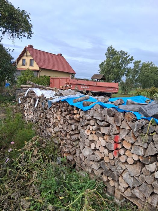 Drewno kominkowe